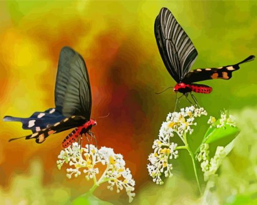 Couple Butterfly Paint By Number