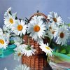 Daisy In A Vase Illustration Paint By Number