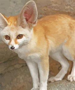 Fennec Fox Animal Paint By Number