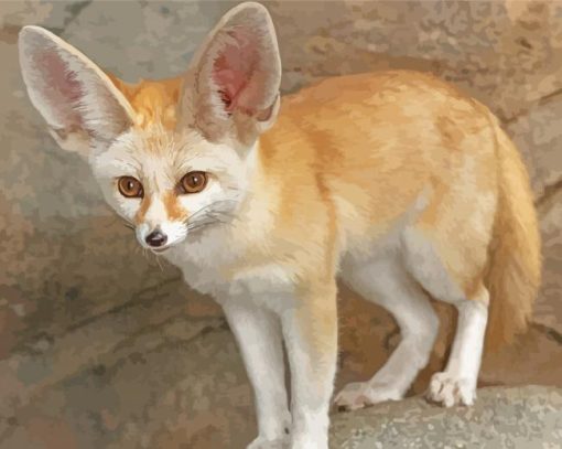 Fennec Fox Animal Paint By Number