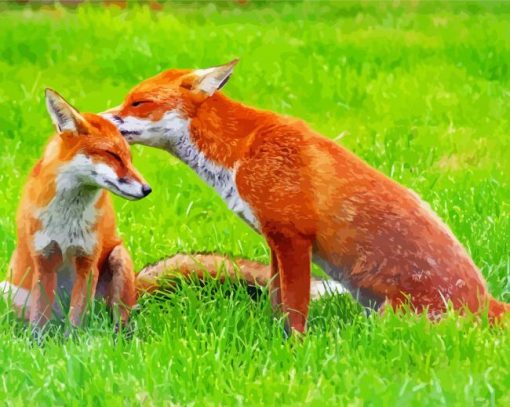 Fox Family Couple Paint By Number