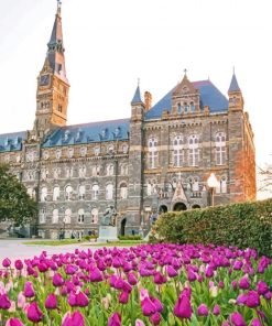 Georgetown University And Flowers Paint By Number