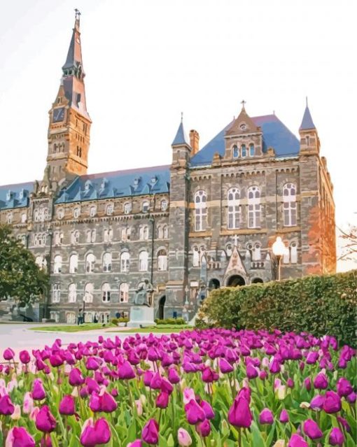 Georgetown University And Flowers Paint By Number