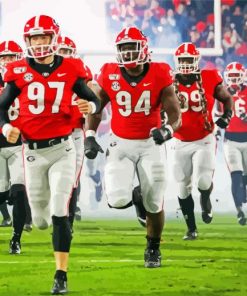 Georgia Bulldogs Football Paint By Number