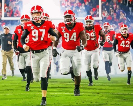 Georgia Bulldogs Football Paint By Number