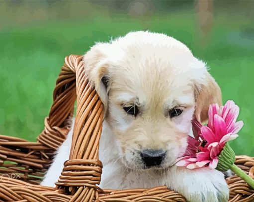 Golden Puppy In Basket Paint By Number