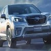 Grey Subaru Forester Car Paint By Number