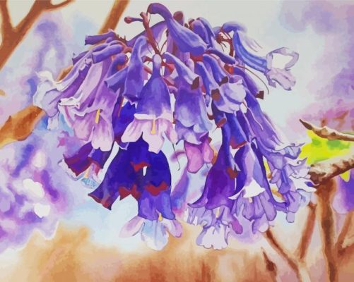 Jacaranda Flowering Plant Paint By Number