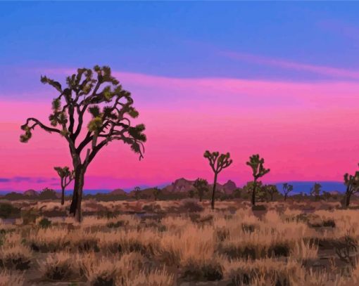 Joshua Tree National Forest Paint By Number