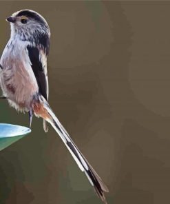 Long Tailed Tits Paint By Number