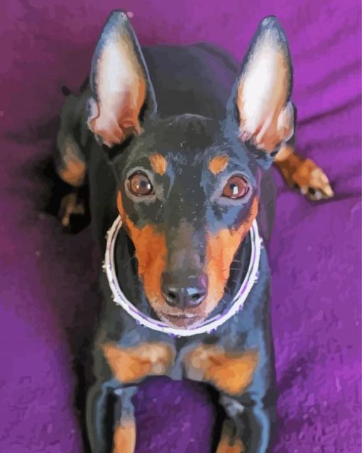 Manchester Terrier Paint By Number