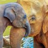 Mom And Baby Elephant Snuggling Paint By Number