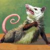 Opossum Paint By Number