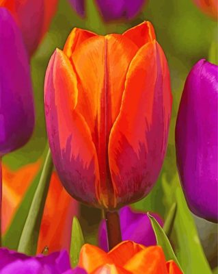 Orange Purple Tulip Paint By Number