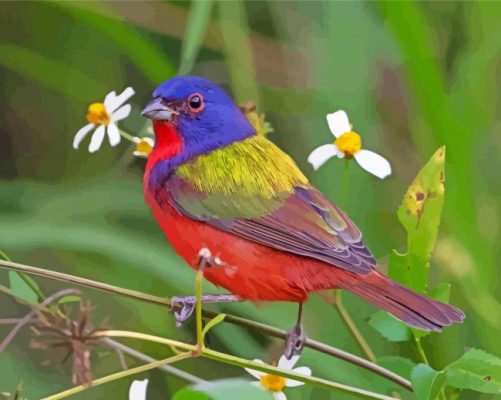 Painted Bunting And Flowers Paint By Number