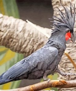 Palm Cockatoo On A Branch Paint By Number