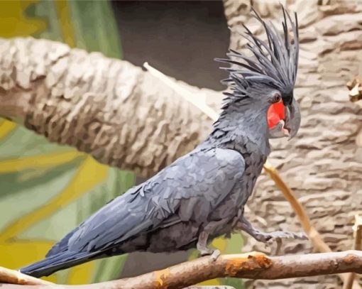 Palm Cockatoo On A Branch Paint By Number