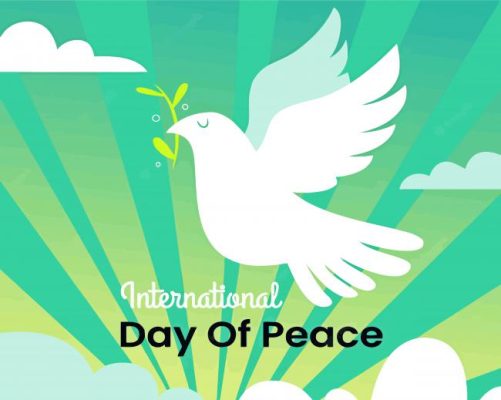 Peace Dove Art Paint By Number