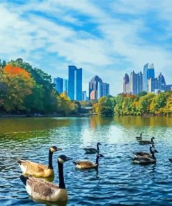 Piedmont Park Geese Paint By Number