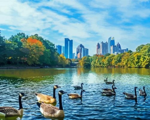 Piedmont Park Geese Paint By Number