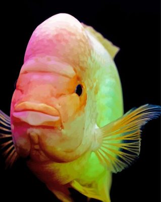 Pink Red Devil Cichlid Fish Paint By Number