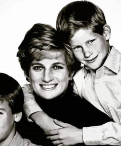 Prince William And Harry With Diana Paint By Number