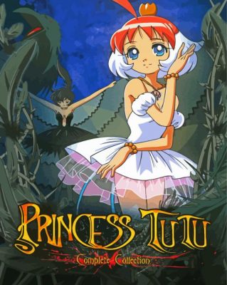 Princess Tutu Poster Paint By Number