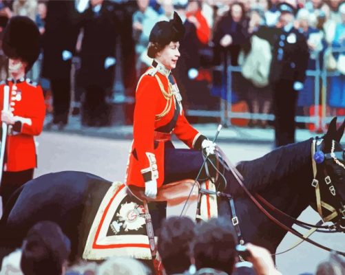 Queen Riding Burmese Paint By Number