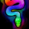 Rainbow Python Snake Paint By Number