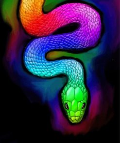 Rainbow Python Snake Paint By Number
