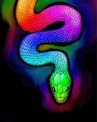 Rainbow Python Snake Paint By Number