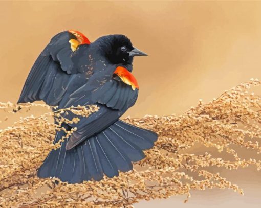 Red Winged Blackbird Paint By Number