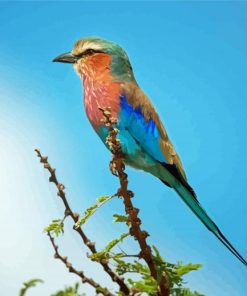 Roller Bird On Branch Paint By Number