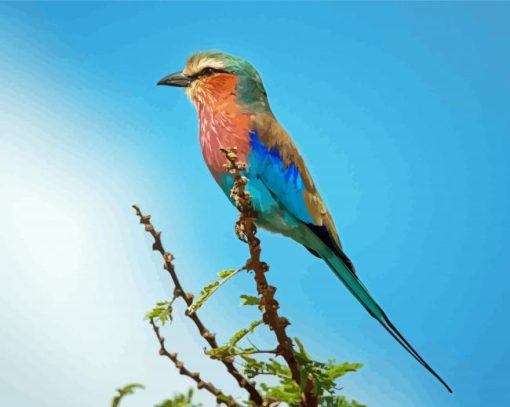 Roller Bird On Branch Paint By Number