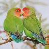 Rosy Faced Lovebirds On Stick Paint By Number