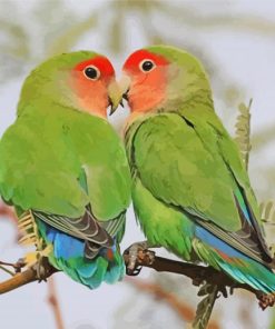 Rosy Faced Lovebirds On Stick Paint By Number