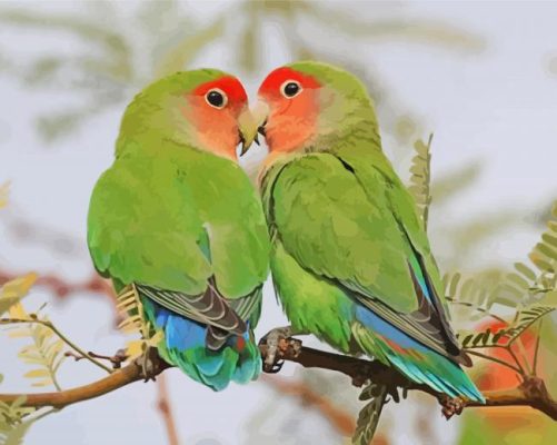 Rosy Faced Lovebirds On Stick Paint By Number