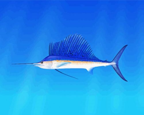 Sailfish Underwater Paint By Number