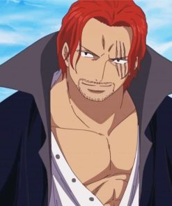 Shanks One Piece Anime Paint By Number