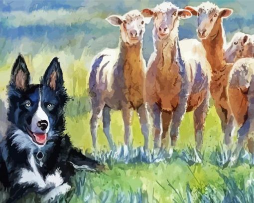 Sheep And Dog Paint By Number