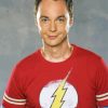 Sheldon Cooper Character Paint By Number