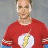 Sheldon The Big Bang Theory Paint By Number