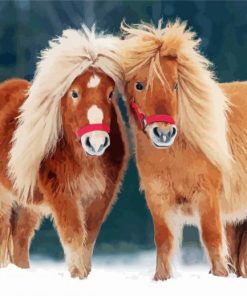 Shetland Ponies Paint By Number