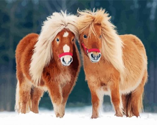 Shetland Ponies Paint By Number