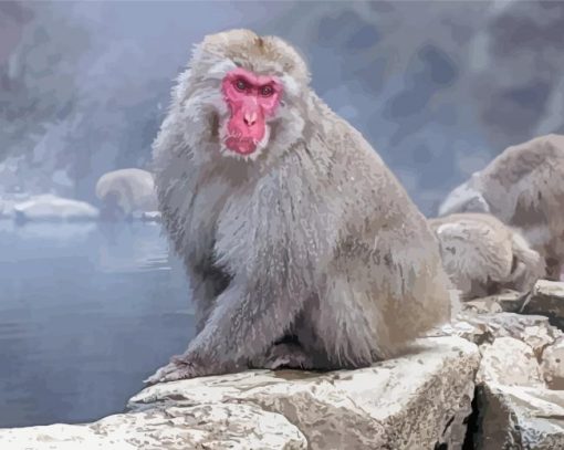 Snow Monkey Paint By Number