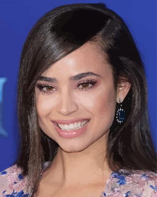 Sofia Carson Paint By Number