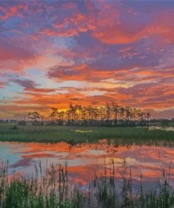 Sunset At Big Cypress Preserve Paint By Number