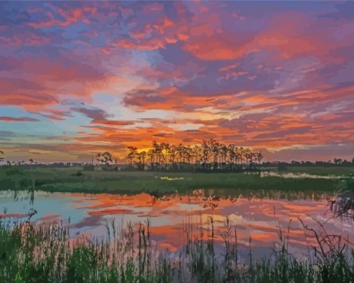 Sunset At Big Cypress Preserve Paint By Number
