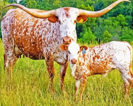 Texas Cattle Animal Paint By Number