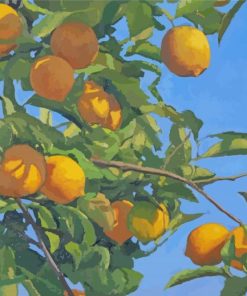 The Lemon Tree Paint By Number